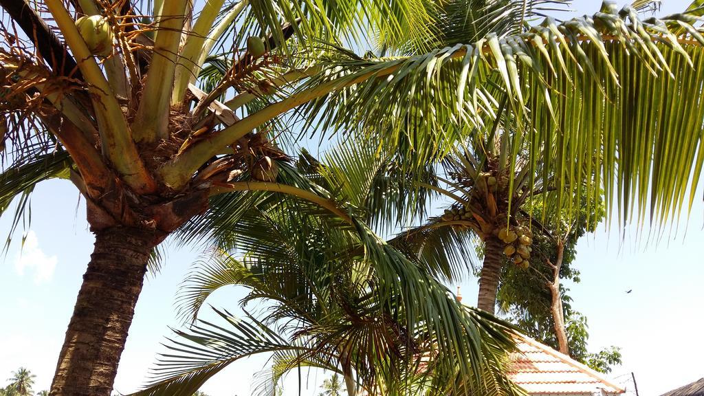 Niya Nest Homestay Kochi المظهر الخارجي الصورة