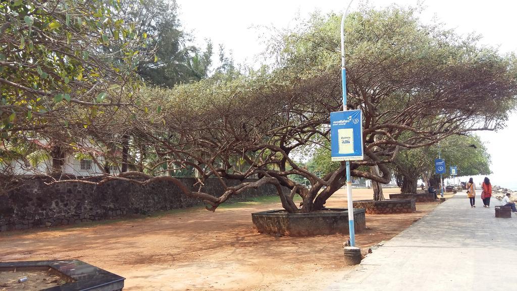 Niya Nest Homestay Kochi المظهر الخارجي الصورة